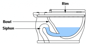 toilet diagram