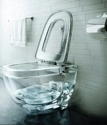 Why is My Toilet Making Gurgling Noises and What to Do About It