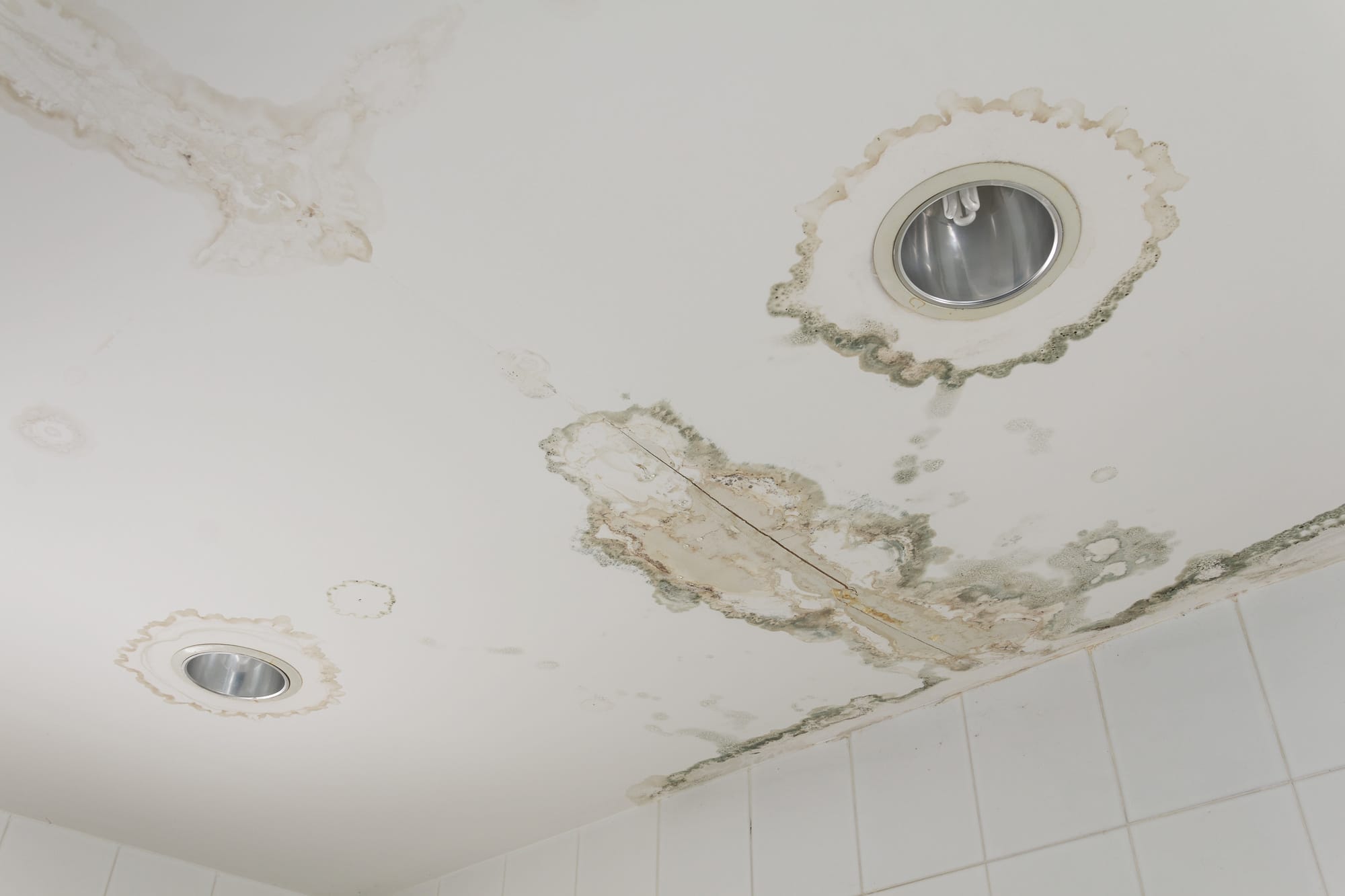 Leaking Bathroom Repair Expert