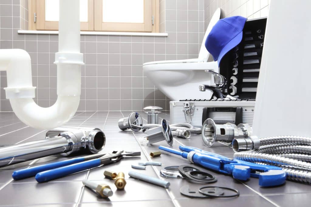 Toilet Repair and Replacement in Rancho San Diego, California (4993)