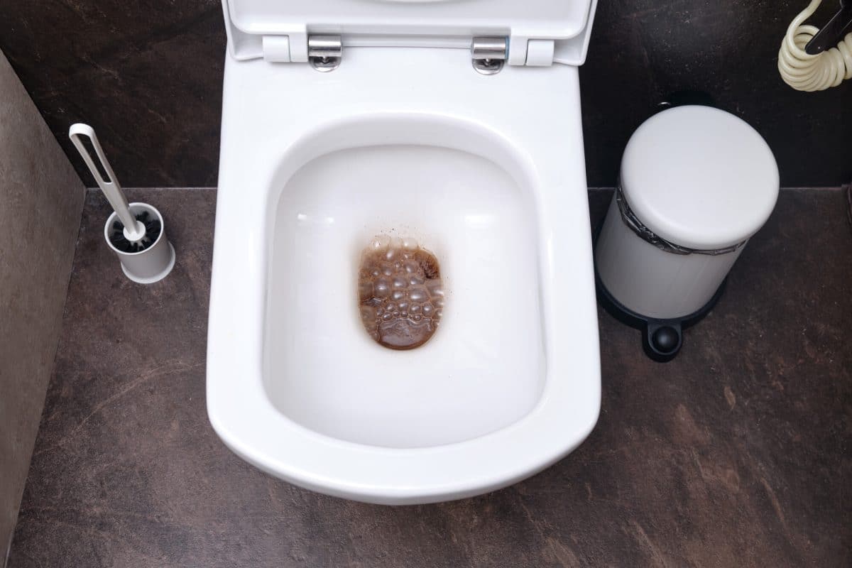 What Might Be the Cause of Your Running Toilet?